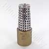 Brass well foot valve