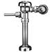 Regal Series Flushometer
