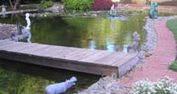 Vic's pond May 2002